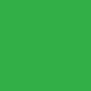 Фото фон бумажный Panorama Chroma green (Хромакей Зеленый) 2.72m x 11m